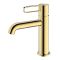 Смеситель для раковины Splenka золото S03.10.23