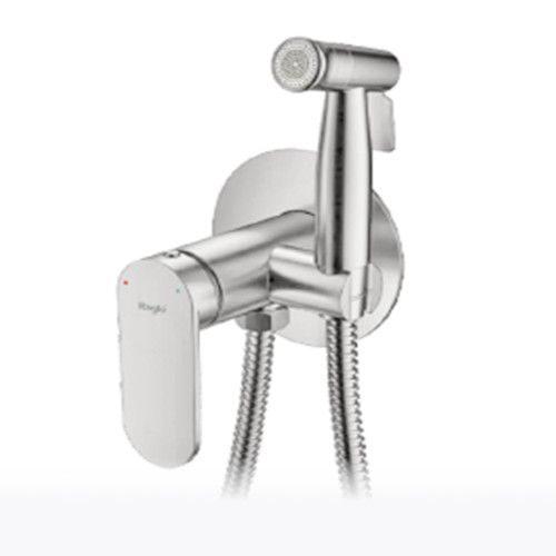 Смеситель с гигиеническим душем встраиваемый Raglo сатин R10.52.05