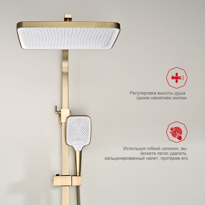 Душевая система Raglo сатин золото R01.24.03