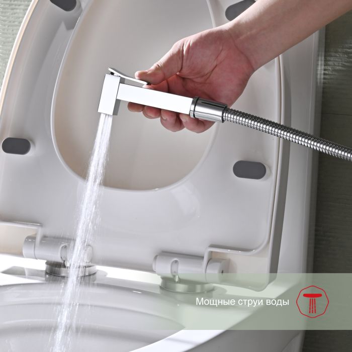 Смеситель с гигиеническим душем Raglo хром R01.51