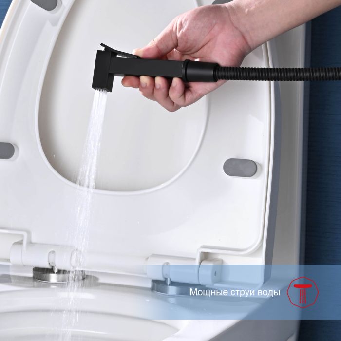 Смеситель с гигиеническим душем Raglo черный R01.51.06