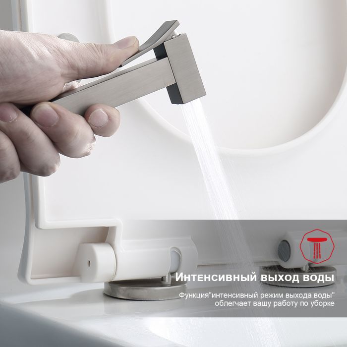 Смеситель с гигиеническим душем Raglo графит R01.51.09