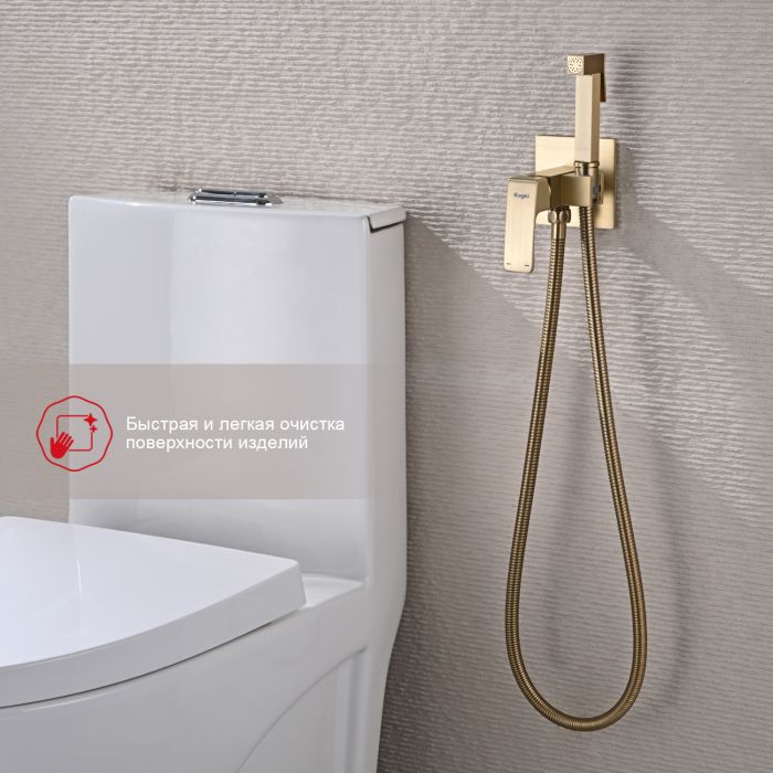 Смеситель с гигиеническим душем встраиваемый Raglo сатин золото R01.52.03