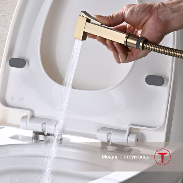 Смеситель с гигиеническим душем встраиваемый Raglo сатин золото R01.52.03