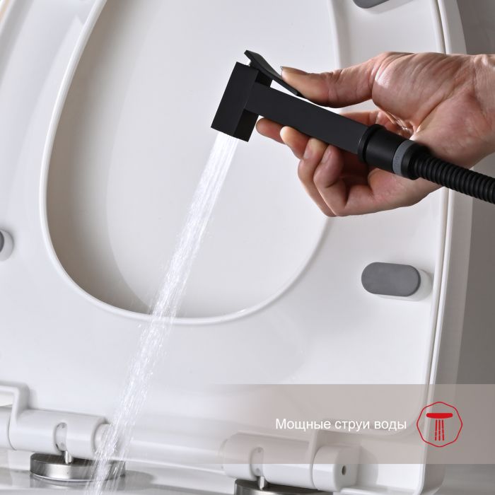 Смеситель с гигиеническим душем встраиваемый Raglo черный R01.52.06