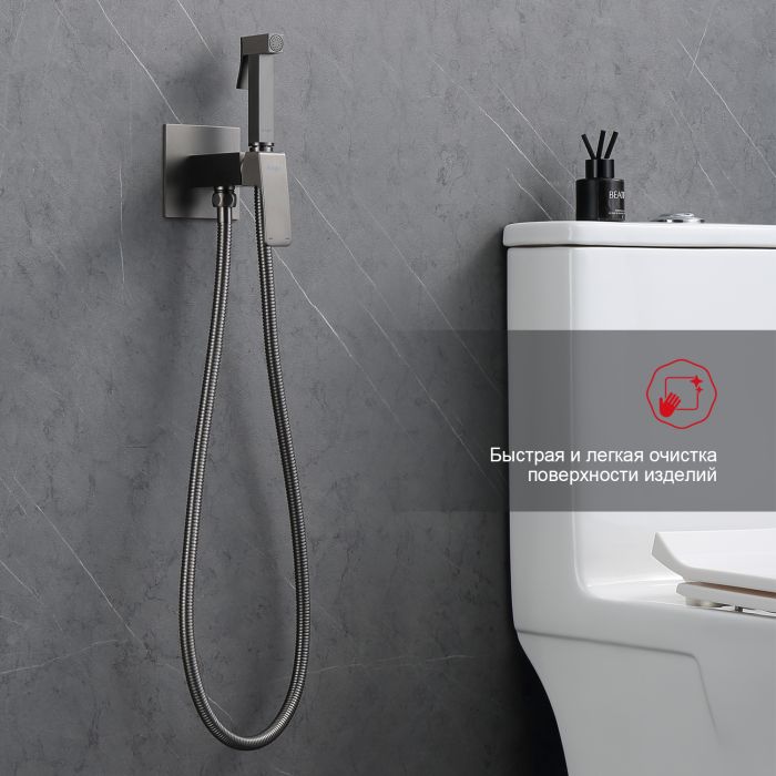 Смеситель с гигиеническим душем встраиваемый Raglo графит R01.52.09