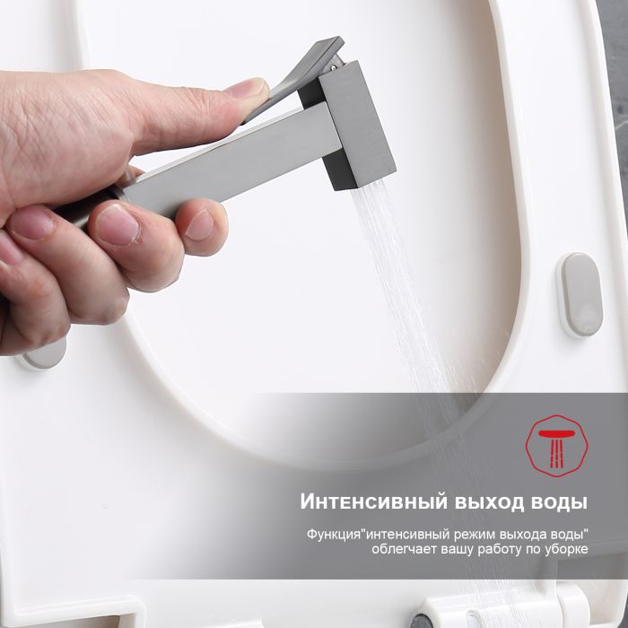 Смеситель с гигиеническим душем встраиваемый Raglo графит R01.52.09