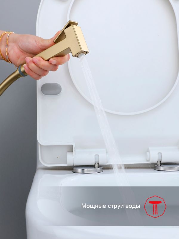 Смеситель с гигиеническим душем Raglo золотой сатин R02.54.03