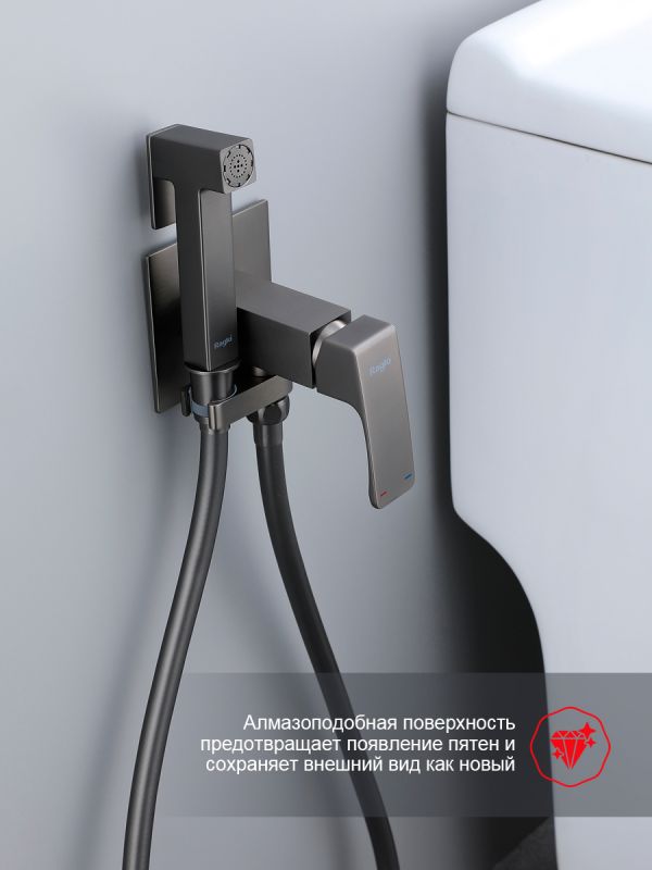 Смеситель с гигиеническим душем Raglo оружейная сталь R02.54.09