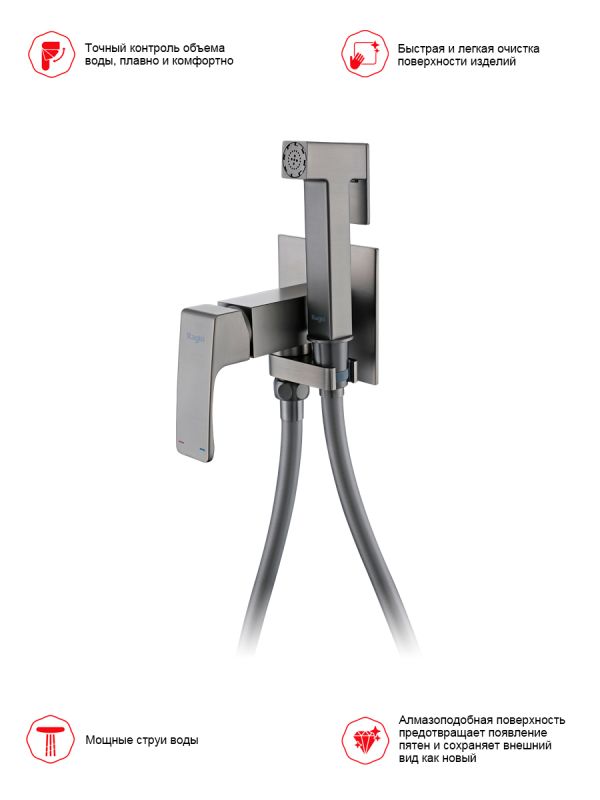 Смеситель с гигиеническим душем Raglo оружейная сталь R02.54.09