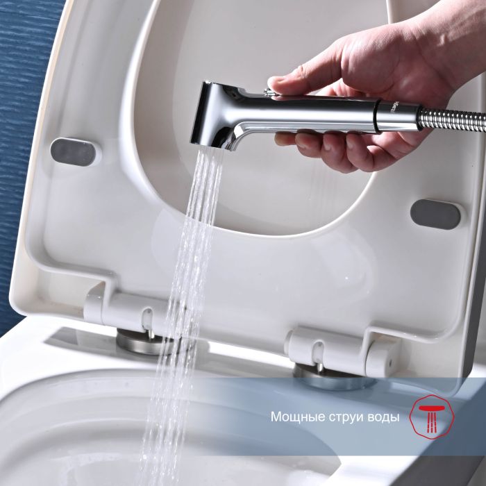 Смеситель с гигиеническим душем Raglo хром R03.51