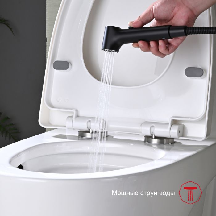 Смеситель с гигиеническим душем Raglo черный R03.51.06