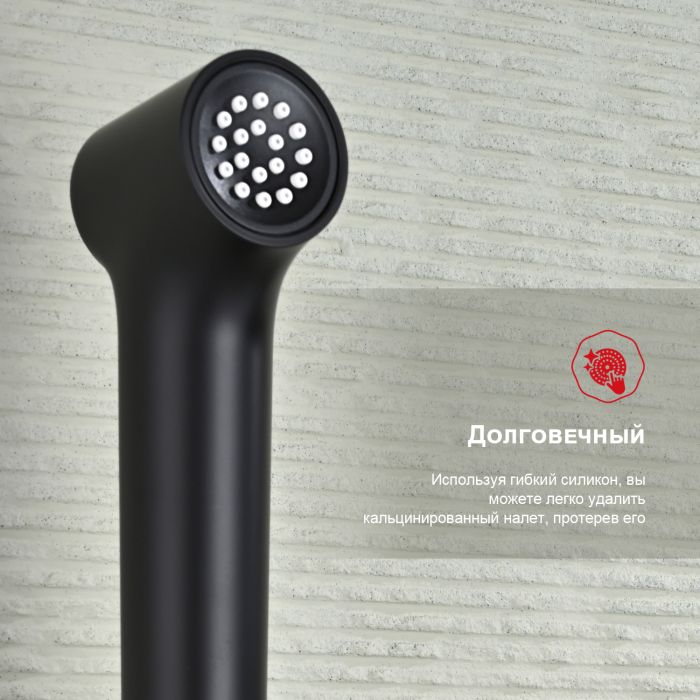 Смеситель с гигиеническим душем Raglo черный R03.51.06