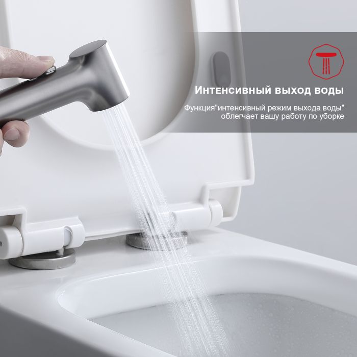 Смеситель с гигиеническим душем Raglo графит R03.51.09