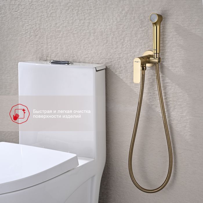 Смеситель с гигиеническим душем встраиваемый Raglo сатин золото R03.52.03