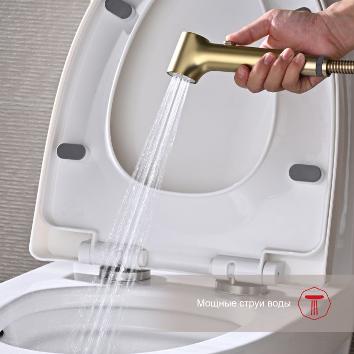 Смеситель с гигиеническим душем встраиваемый Raglo сатин золото R03.52.03