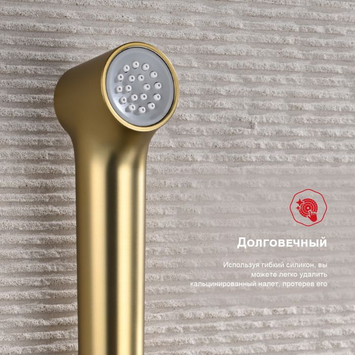 Смеситель с гигиеническим душем встраиваемый Raglo сатин золото R03.52.03