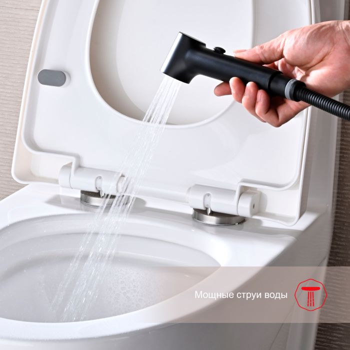 Смеситель с гигиеническим душем встраиваемый Raglo черный R03.52.06