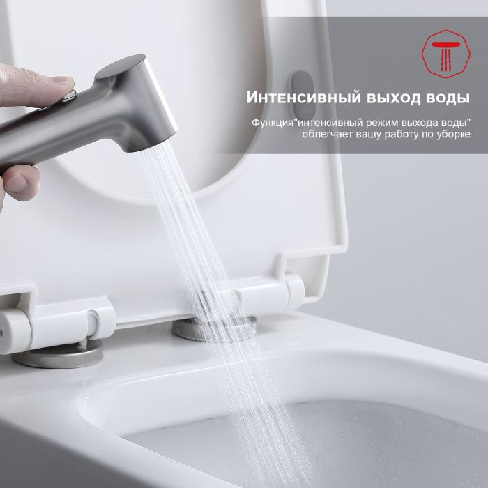 Смеситель с гигиеническим душем встраиваемый Raglo графит R03.52.09