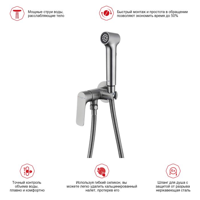 Смеситель с гигиеническим душем встраиваемый Raglo графит R03.52.09
