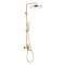 Душевая система Raglo сатин золото R07.24.03