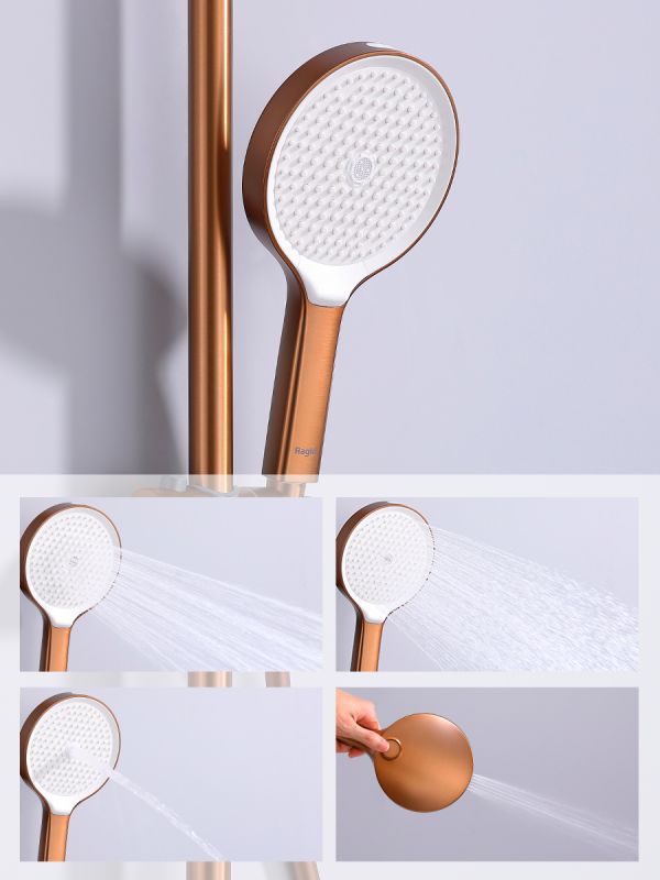 Душевая система Raglo матовая медь R07.24.33