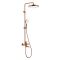 Душевая система Raglo матовая медь R07.24.33