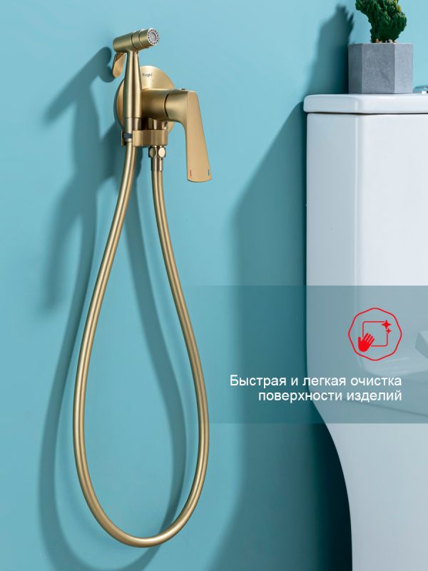 Смеситель с гигиеническим душем Raglo золотой сатин R07.52.03