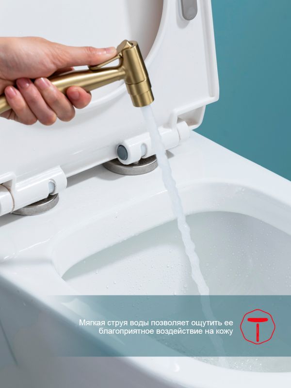 Смеситель с гигиеническим душем Raglo золотой сатин R07.52.03