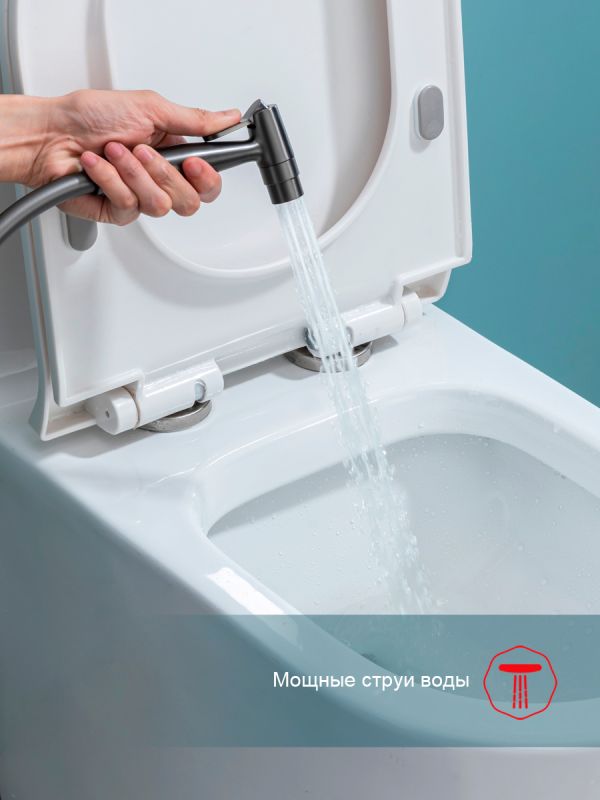 Смеситель с гигиеническим душем Raglo графит R07.52.09