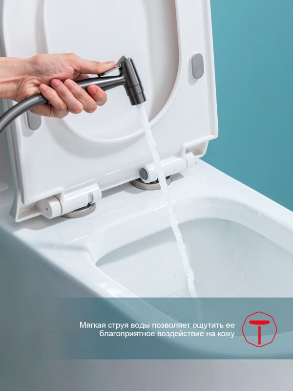 Смеситель с гигиеническим душем Raglo графит R07.52.09