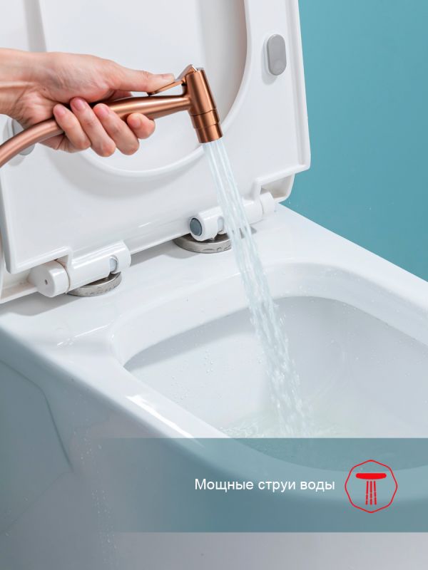 Смеситель с гигиеническим душем Raglo матовая медь R07.52.33