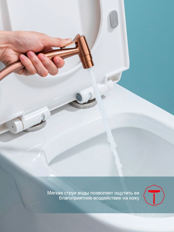 Смеситель с гигиеническим душем Raglo матовая медь R07.52.33