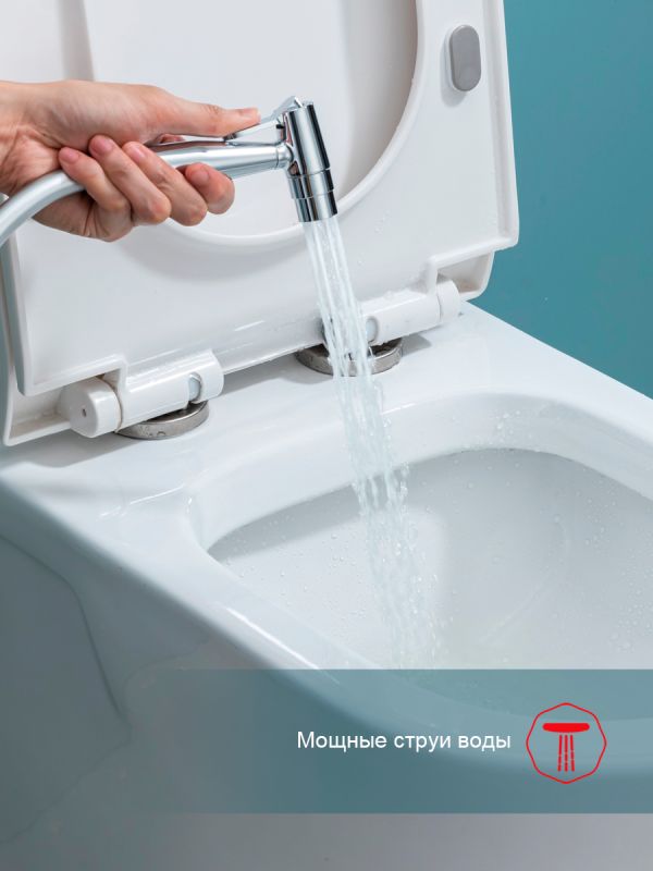 Смеситель с гигиеническим душем Raglo хром R07.52