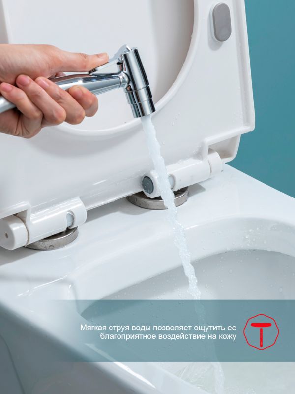 Смеситель с гигиеническим душем Raglo хром R07.52