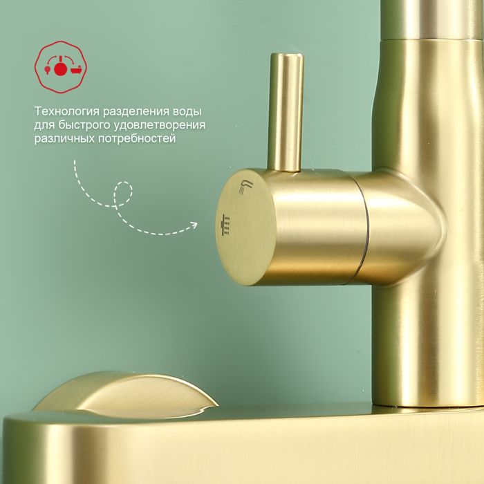 Душевая система Raglo золотой сатин R10.24.03