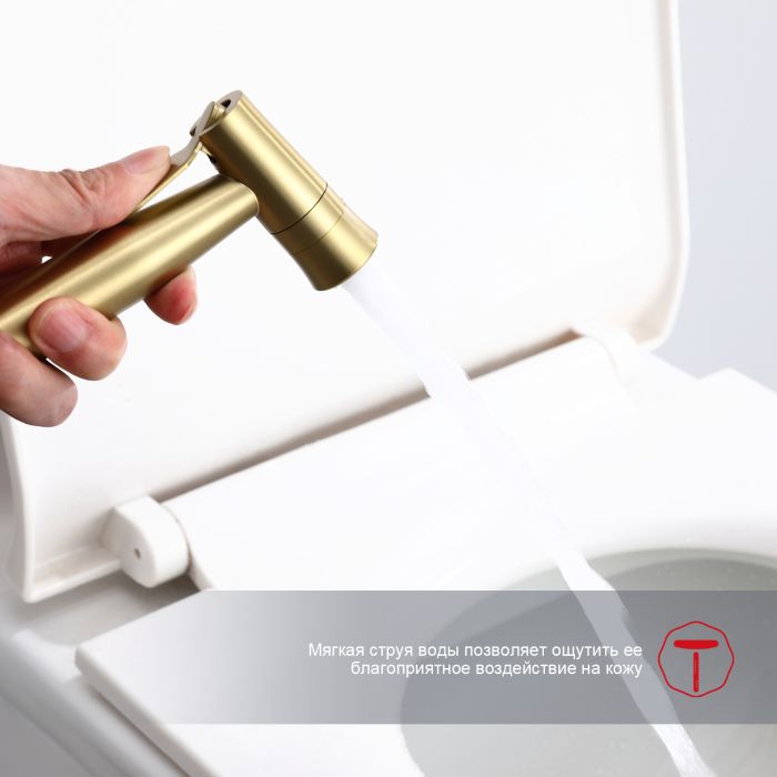 Смеситель с гигиеническим душем Raglo золотой сатин R10.52.03