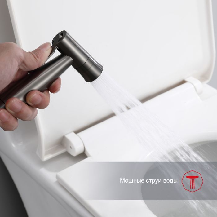 Смеситель с гигиеническим душем Raglo оружейная сталь R10.52.09