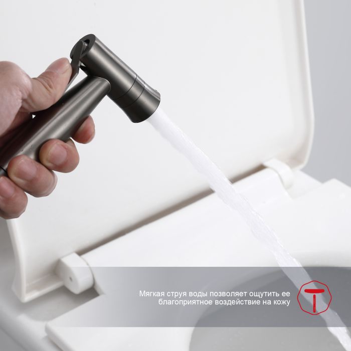 Смеситель с гигиеническим душем Raglo оружейная сталь R10.52.09