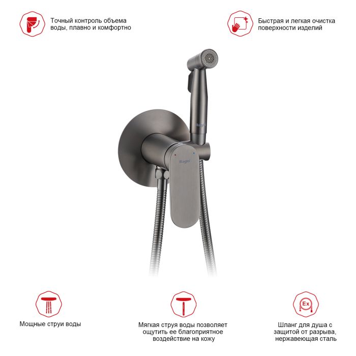 Смеситель с гигиеническим душем Raglo оружейная сталь R10.52.09