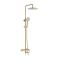 Душевая система Raglo сатин золото R20.24.03