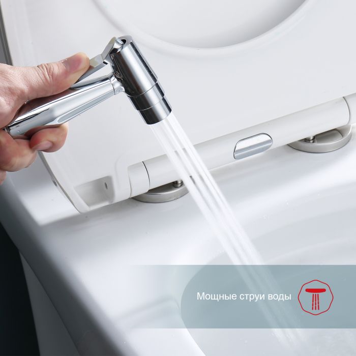 Смеситель с гигиеническим душем встраиваемый Raglo хром R20.52