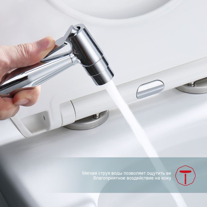 Смеситель с гигиеническим душем встраиваемый Raglo хром R20.52