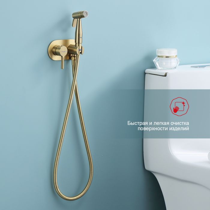 Смеситель с гигиеническим душем встраиваемый Raglo сатин золото R20.52.03