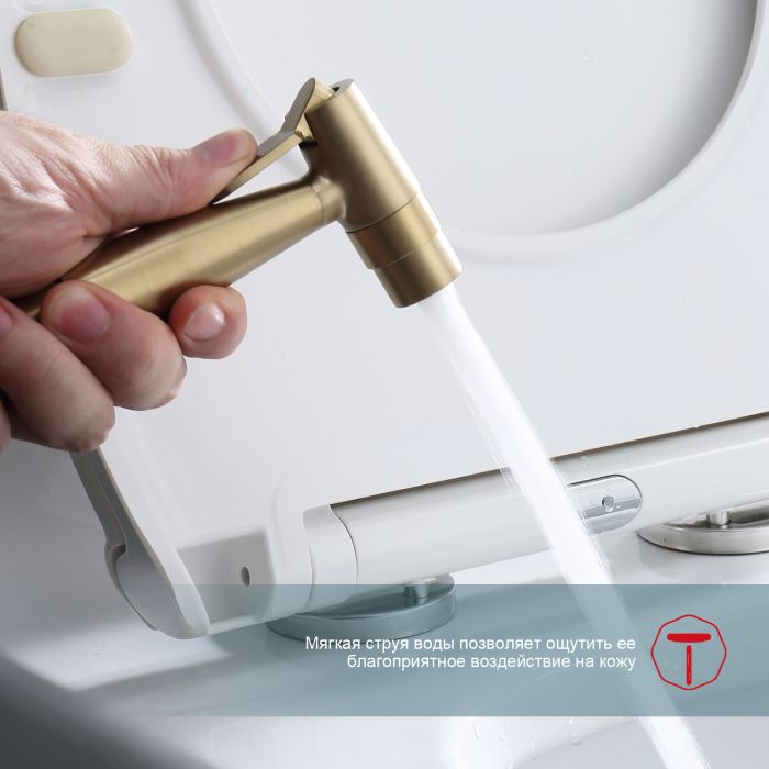 Смеситель с гигиеническим душем встраиваемый Raglo сатин золото R20.52.03