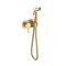 Смеситель с гигиеническим душем встраиваемый Raglo сатин золото R20.52.03