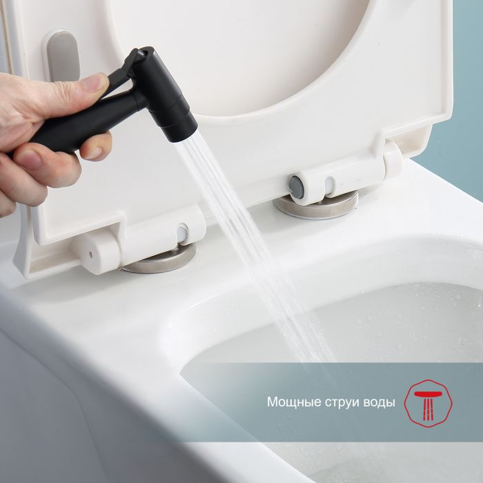 Смеситель с гигиеническим душем встраиваемый Raglo черный R20.52.06