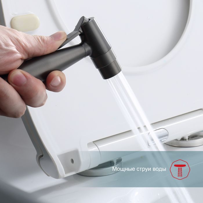 Смеситель с гигиеническим душем встраиваемый Raglo графит R20.52.09