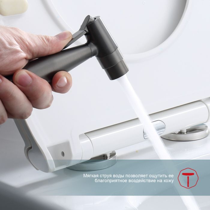 Смеситель с гигиеническим душем встраиваемый Raglo графит R20.52.09