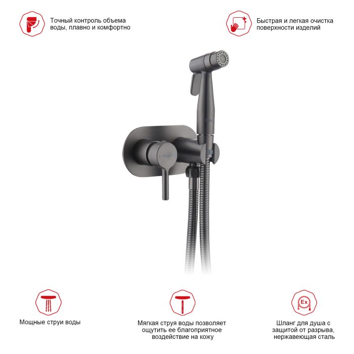 Смеситель с гигиеническим душем встраиваемый Raglo графит R20.52.09